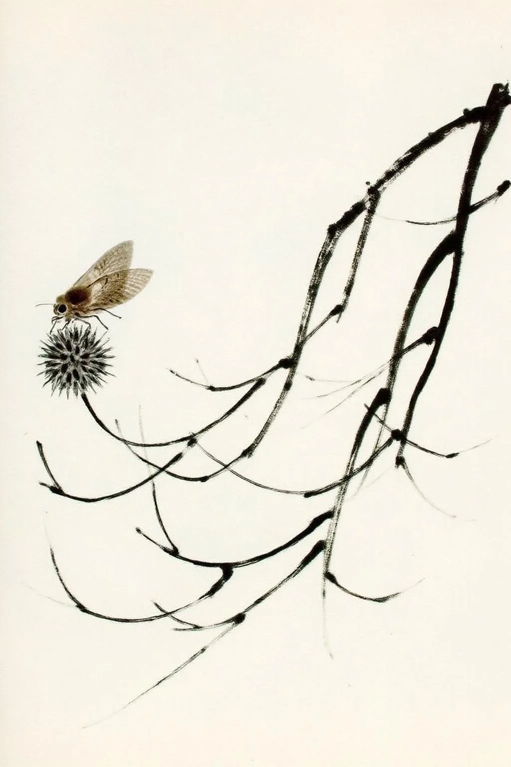 qbs1 ink wash painting
a traditional ink and watercolor style, depicting a delicate and intricate scene of a cicada and a thistle flower on a branch. The background is a plain, light cream color, which enhances the contrast and focus on the subject. The branch, rendered in thick, dark, and textured black ink, stretches diagonally across the image from the bottom left to the top right. At the top of the branch, a cicada with delicate, translucent wings and intricate patterns is perched. Its wings are depicted in a soft, muted brown color, with subtle shading that gives the impression of a moth's natural texture and light reflection. <lora:qbs1_cap_d6a3e12:1.0><lora:818420423856379678:0>