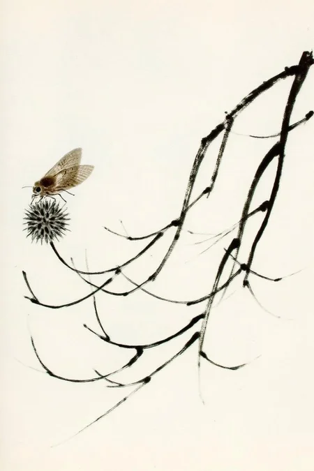 qbs1 ink wash painting
a traditional ink and watercolor style, depicting a delicate and intricate scene of a cicada and a thistle flower on a branch. The background is a plain, light cream color, which enhances the contrast and focus on the subject. The branch, rendered in thick, dark, and textured black ink, stretches diagonally across the image from the bottom left to the top right. At the top of the branch, a cicada with delicate, translucent wings and intricate patterns is perched. Its wings are depicted in a soft, muted brown color, with subtle shading that gives the impression of a moth's natural texture and light reflection. <lora:qbs1_cap_d6a3e12:1.0><lora:818420423856379678:0>