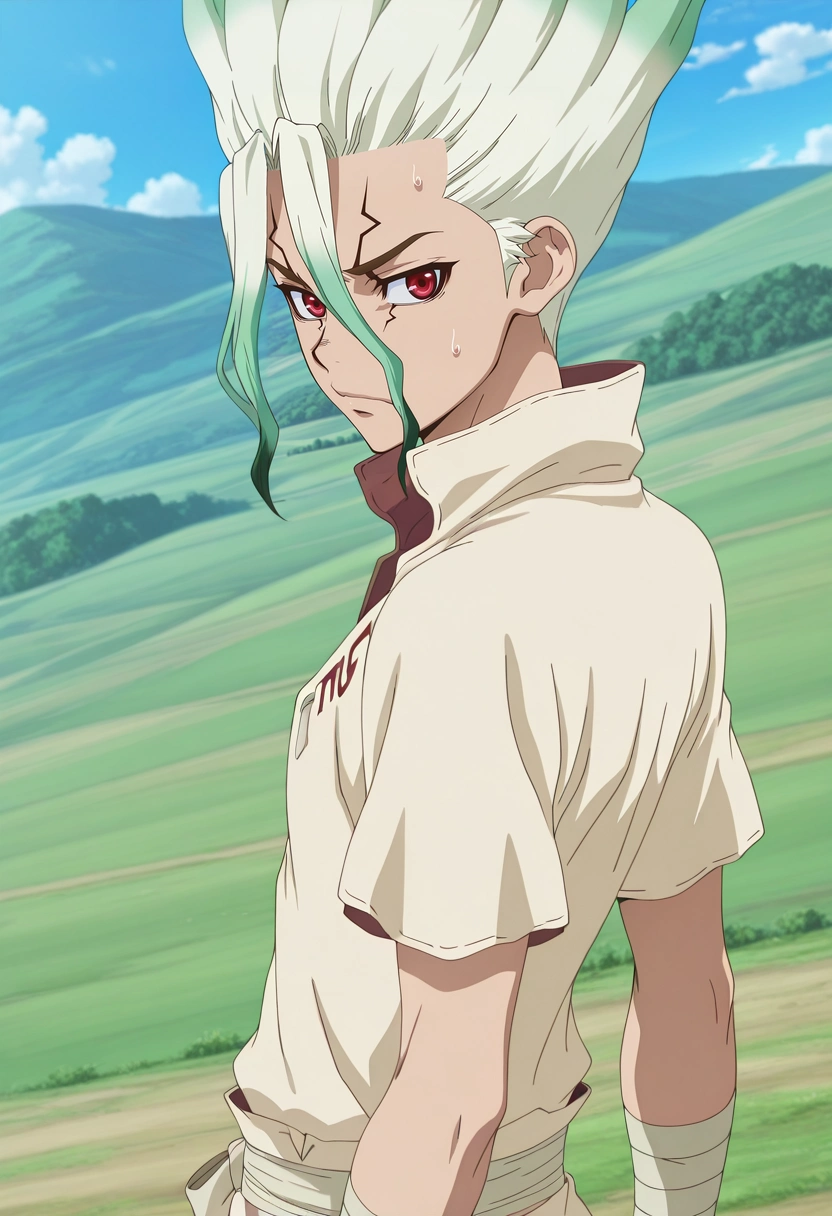 masterpiece, best quality, , anime screencap, anime coloring, official style, , 1boy, solo, male focus, <lora:senkuu_ishigami_ilxl:0.98>, senkuu_ishigami, green hair, red eyes, multicolored hair, two-tone hair, white hair, facial mark, asymmetrical, hill, greenery, midnight, twisted torso, nervous,