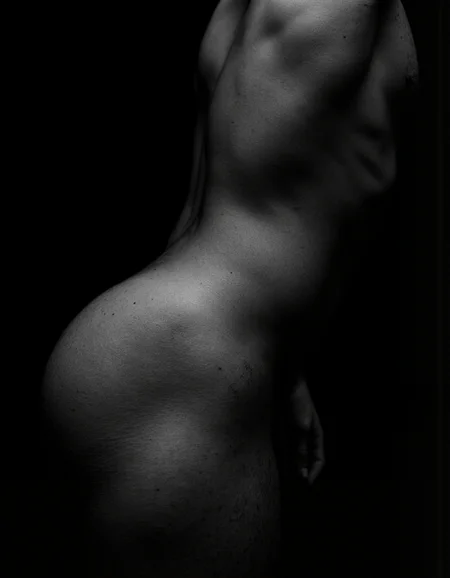 Preview 50258244