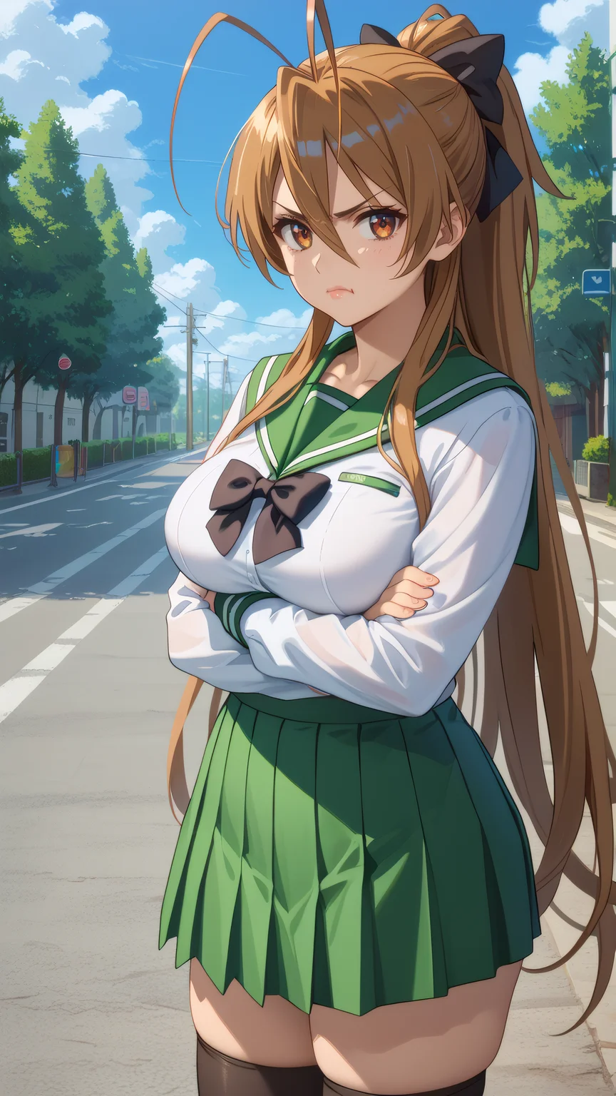 score_9, score_8_up, score_7_up, 1girl, looking at viewer, cowboy shot,
<lora:Rei_Miyamoto_Dwnsty:0.8>, rei_miyamoto, brown hair, brown eyes, very long hair, antenna hair, hair between eyes, ponytail, school uniform, long sleeves, green skirt, serafuku, black thighhighs, zettai ryouiki, black bow,
mature female, large breasts, skindentation, lips, light smile, determined, crossed arms, pout,
outdoors, blue sky, street, highway, cloud,