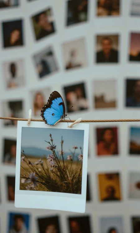 Polaroids hanging on a clothesline; The background is a grid of other Polaroids and photos by different artists. The focus is on the clothesline, on which a blue butterfly rests.<lora:flux1-D\araminta_k_flux_koda.safetensors:0.8:1.0> <lora:flux1-D\flux.1_lora_flyway_Epic-detail_v2.safetensors:0.8:1.0>