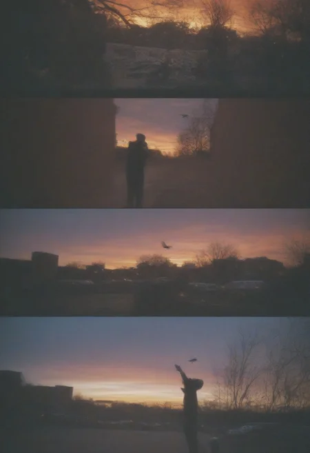 street, brick, outdoors, cardinal, pigeon, tree, graffiti, sky, sunset, man, multiple views