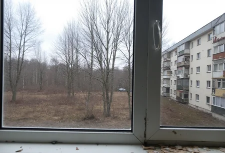 Urban winter scene viewed through a large window with peeling paint on the sill, revealing a bleak outdoor landscape. In the foreground, the window frame is prominent, slightly worn and aged, suggesting an older building's interiors. Beyond the glass, leafless trees stand amidst a patchy, brown field leading to a series of old apartment buildings, characterized by weathered facades and balconies. The sky is overcast, casting a muted gray light over the entire view, indicating a late autumn or early winter atmosphere. The photograph is of amateur quality, slight blur, dull colors, giving a sense of melancholy and stillness., 