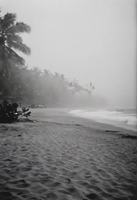 KB_Kentmere400, instagram photo, a foggy beacht in sri lanka, soft shadows, film grain
