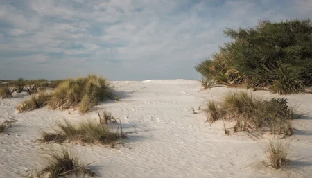 Coastal Dunes Photography,scenery,outdoors,no humans,footprints,horizon,shore,sky,day,<lora:Coastal Dunes Photography:1>,