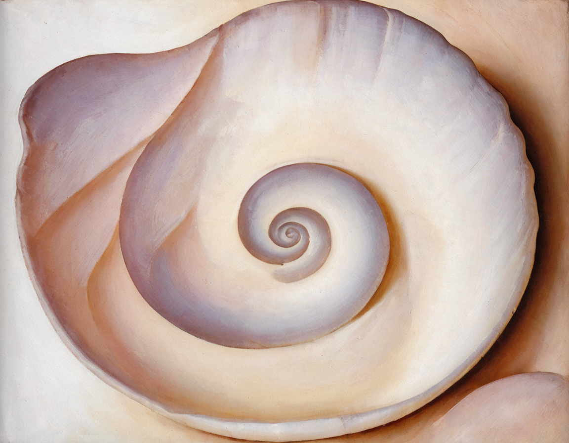 <lora:okfe:0.8>okfe, abstract, closeup, smooth, feminine, shell, pearlescent