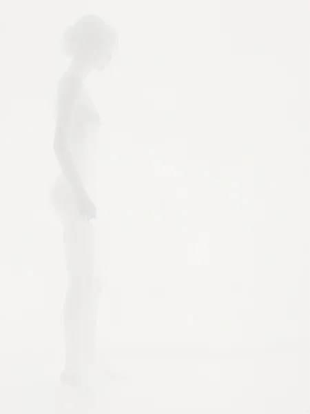 almstinv, invisible silhouette of a extremely sensual scene never seen before of thin air, <lora:- SDXL - almstinv_fain_inv_V1.0:1>