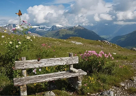 (no human:1.18), scenic wide open alpine landscape, flowering juicy mountain meadow at springtime, Scandinavian Mountains(butterflies:1.14), group of birch trees, (Stone bench) Weathered, worn, nestled among wildflowers, for a lonely rest,
(Mountain wildflowers: Pink primrose (Primula elatior)
(clouds dapple sunlight, rain in the distance,:1.18)
,(trending:1.16) (RAW:1.08),subsurface tering high definition, <lora:sdxl\zy_Realism_Enhancer_v1.safetensors:0.85:0.18> p4,s20