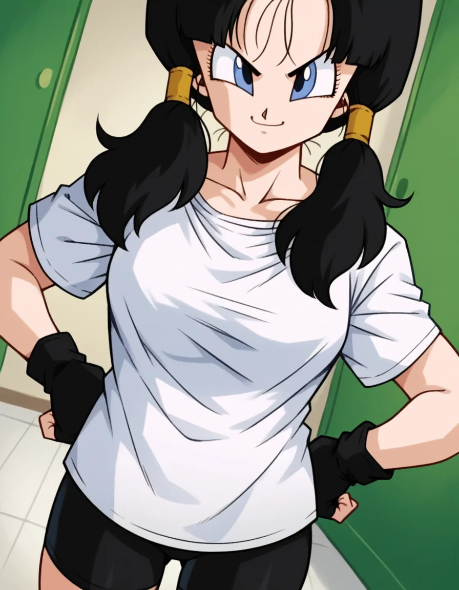 score_9, score_8_up, score_7_up, source_anime, <lora:dbz-videl-anime-ponyxl-lora-nochekaiser:1>, videl, black hair, blue eyes, eyelashes, parted bangs, twintails, medium breasts,, bike shorts, black gloves, black legwear, collarbone, fingerless gloves, gloves, shirt, short sleeves, white shirt,, indoors, smug, hands on hips,, smile, looking at viewer, solo,, cowboy shot, dutch angle