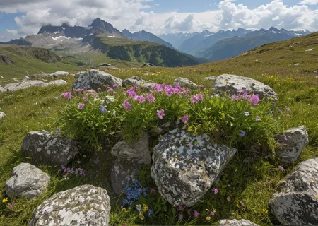 (no human:1.18), scenic alpine landscape, flowering juicy mountain meadow at springtime, Swiss Alps, (butterflies:0.96), group of birch trees, big rocks tered, (Wildflowers) Vibrant patches of alpine blooms, swaying in the breeze,
(Mountain wildflowers: Edelweiss (Leontopodium alpinum)Alpine forget-me-not (Myosotis alpestris)Pink primrose (Primula elatior)
(dark clouds above:1.18)
,(trending:0.95) (masterpiece:1.17), (high image quality:1.08), (RAW:0.72) (high resolution photograph:1.28),high definition, <lora:sdxl\Hyper_Realism_Pony_XL.safetensors:0.85:0.18> p4,s1