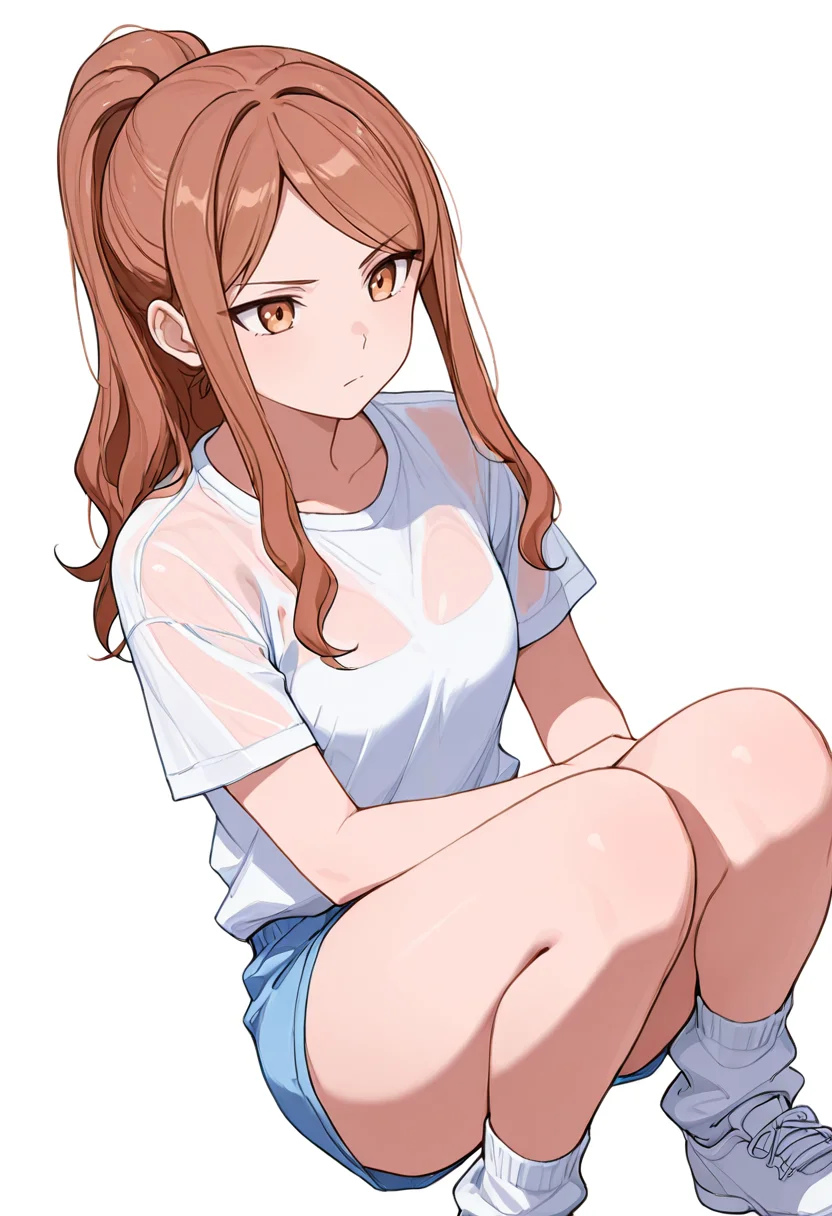 masterpiece,high quality details, absurdres,
<lora:Aona:0.8> aona_cnr, 1girl, brown hair, long hair, ponytail, brown eyes,, simple background, white background, dutch angle,solo,, serious,serious,, upright posture,determined expression,crouching position,, borrowed garments,see-through shirt ,hot pants, ,tube socks,