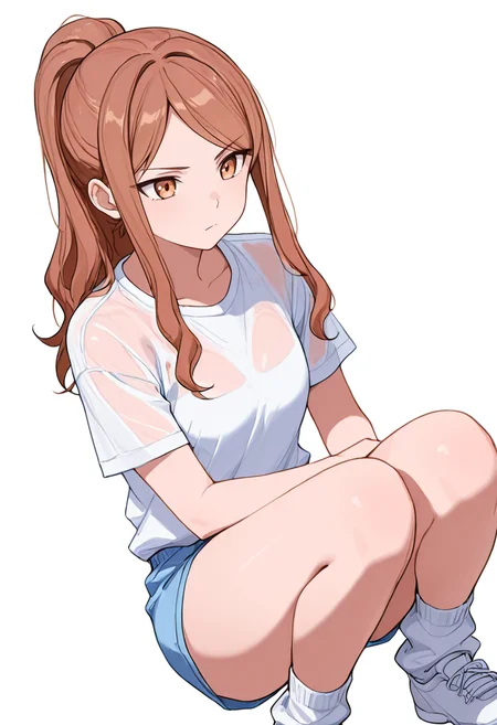 masterpiece,high quality details, absurdres,
<lora:Aona:0.8> aona_cnr, 1girl, brown hair, long hair, ponytail, brown eyes,, simple background, white background, dutch angle,solo,, serious,serious,, upright posture,determined expression,crouching position,, borrowed garments,see-through shirt ,hot pants, ,tube socks,