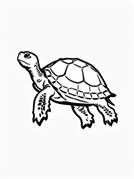 illustration, simple line art, (white background:1.2), doodle, doodle line, hand draw, drawing, b&w, monochrome, <lora:SDXL_BTT_Doodle_v01:1.5>, SDXL_BTT_Doodle_v01, turtle