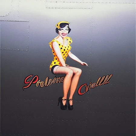 1940s pin-up girl decal, N0S3ART, WWII bomber plane nose art, Brunette woman, Curled hairstyle, Yellow polka dot headscarf, Yellow polka dot top, Black shorts, High heels, Sitting pose, Red TNT box, Legs crossed, Playful expression, Text: Problem Child, Cursive black lettering, Grey and silver aircraft, Engine detail, Yellow and black striped pattern, Vintage WWII era, Bright and vibrant colors, Stylized illustration, Artistic pin-up style, Graphic design elements