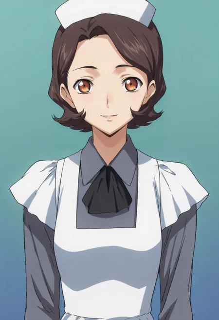 score_9,score_8_up,score_7_up,anime coloring BREAK source_anime,anime,<lora:Sayoko_Shinozaki_Code_Geass_Pony:0.8>,ssayoko,1girl,solo,short hair,brown hair,maid headdress,maid,apron,grey blouse,smile,multicolored background,looking at viewer,portrait,upper body,looking at viewer,