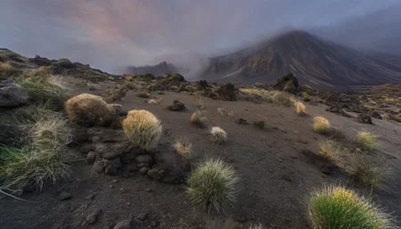 Volcanic Desert,no humans,scenery,outdoors,landscape,fog,grass,nature,<lora:Volcanic Desert:1>,, masterpiece, best quality,