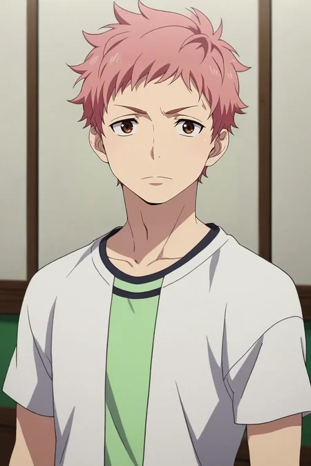 score_9, score_8_up, score_7_up, , rating_safe, intricate details, anime screencap, , official style, looking at viewer, depth of field, 1boy, solo, male focus, <lora:renzou_shima_pony:0.78>, renzou_shima, pink hair, brown eyes, short hair, , , <lora:sdxl_lightning_8step_lora:1>