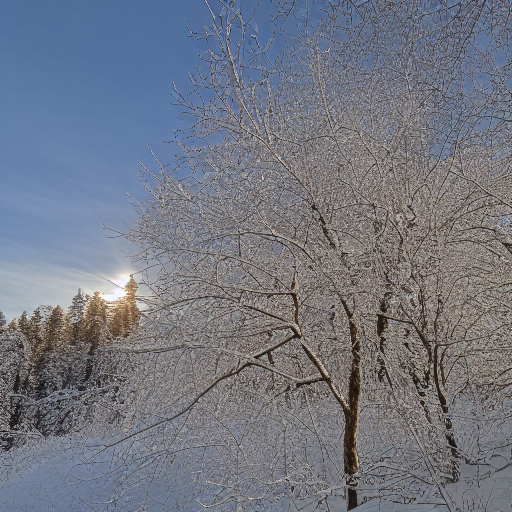 bare tree, scenery, sun, sunlight, blue sky, traditional media, mountain, tree, no humans