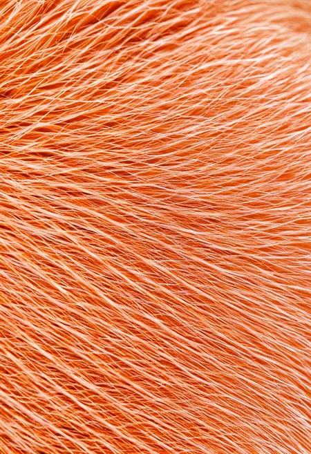 Fur