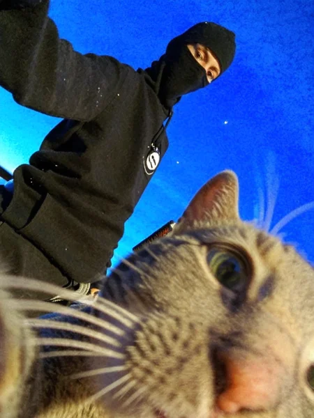 extemely detailed face, perfect qualitym, ninja cat takes selfie, standing on rooftop, stars in the sky, solo