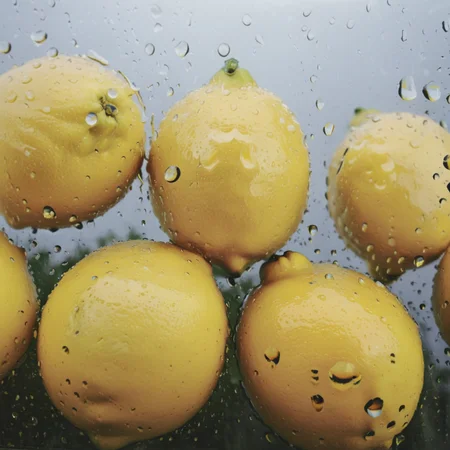 lemons behind rain on glass<lora:Rain_on_Glass_XL:1>