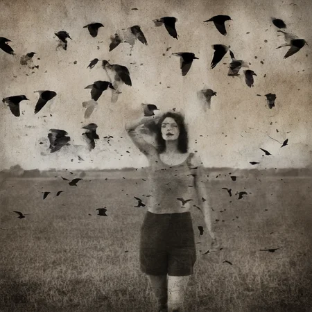 double exposure, a woman, birds, field <lora:SDXL_double_exposure_Sa_May_V8:1>