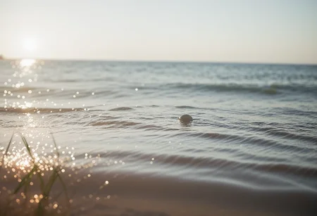 scenic lonesome beach scene, focus on ripples sand, Early morning mist, grayish light, soft, diffused illumination, dew reflecting the muted hues, dew drops, dew-damp spider webs on grass of meadow grainy sand, detailed sand grains, bokeh, ripples, low ocean waves,
((edge detection:1.26) (blur:1.0)),
<lora:sdxl\zy_Realism_Enhancer_v1.safetensors:0.85:0.18>
p7,s1