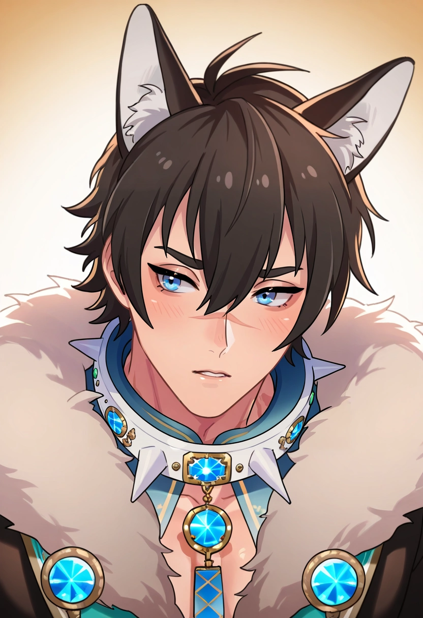 masterpiece, best quality, intricate details, (photorealistic:0.6), , , 1boy, solo, male focus, <lora:garu_nu_carnival_ilxl:1>, garu_nu_carnival, black hair, blue eyes, short hair, animal ears, scar, hair between eyes, , wolf boy, wolf ears, , ,