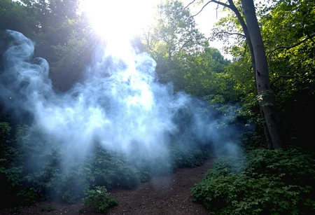 Sunlight streaming through a wooded forest, light filtering through trees, creating a serene natural backdrop. Wisps of smoke gracefully swirling, intricate patterns and curves in the air, slight breeze, suspended mid-motion, sunlight glinting softly. Rich green foliage, patches of earth, subtle hints of yellow and brown leaves. Bright, overexposed area in the center where sunlight meets smoke, soft focus, slightly blurred, amateur quality, evokes a mystical, ethereal atmosphere.,