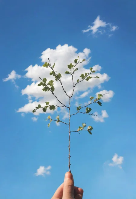 F-B-C, POV, foreground: a hand holding a tree branch , background: clouds , effect: a tree with clouds as leafs