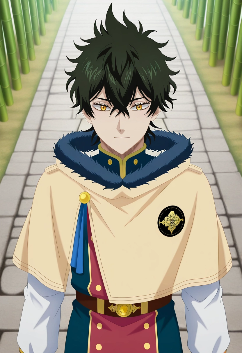masterpiece, best quality, , anime screencap, anime coloring, official style, looking at viewer, 1boy, solo, male focus, <lora:yuno_black_clover_ilxl:1>, yuno_black_clover, black hair, yellow eyes, short hair, hair between eyes, fur trim, bamboo sanctuary, stone paths, koi streams, wooden bridges, peaceful walk, serene expression, misty morning,