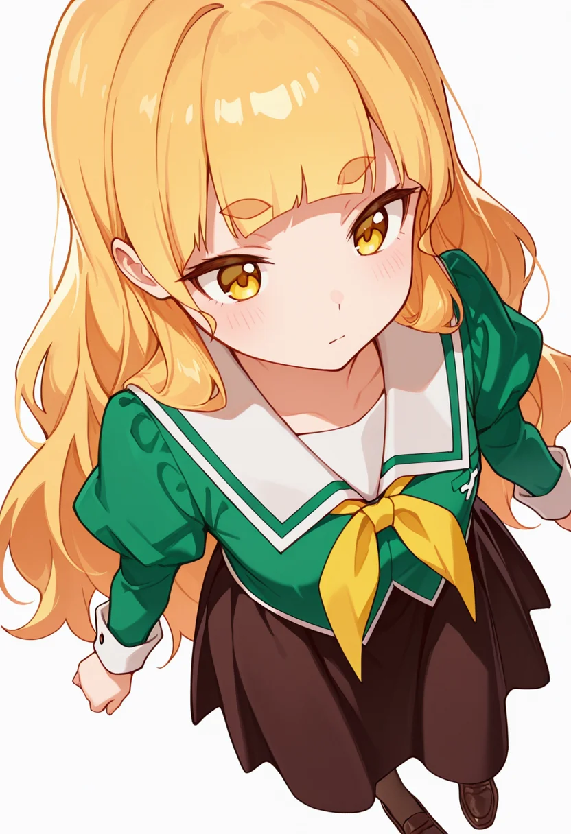 masterpiece,high quality details,absurdres, 
<lora:Shiraki_Hime:0.8>
hime_cnr, 1girl, blonde hair, very long hair, yellow eyes, blunt bangs, thick eyebrows,
hime_s1,green shirt, white sailor collar, serafuku,long skirt,black-brown skirt, juliet sleeves,pantyhose, loafers,, simple background, white background, from above,solo,, x3,