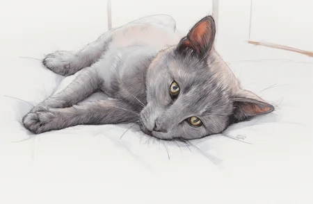 Sharp image of a rough sketch, rendered in vibrant multi colour ballpoint pen, capturing the adorable features of a close-up of a gray cat lying on a white bedspread. The cat is lying on its side with its head resting on its front paws and its body stretched out in front of it. Its eyes are bright and alert, and it appears to be looking directly at the camera. The background is blurred, but it seems to be a bedroom with a white wall and a wooden floor. The overall mood of the image is calm and relaxed. p3nsk, <lora:p3nsk:1>
