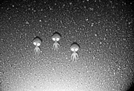 aliencctvlora, black and white nighttime cctv footage of two thin gray aliens skulking around the backyard of a suburban home, (thin bodies:1.2), (big bulbous heads:1.4), tall, long thin arms, thin fingers, long thin necks, (big black eyes:1.4), realistic, grainy cctv, dark footage, dynamic action, candid, olddigitalcamera, raw, light leak, film grain, (jpeg artifacts:0.5), low res