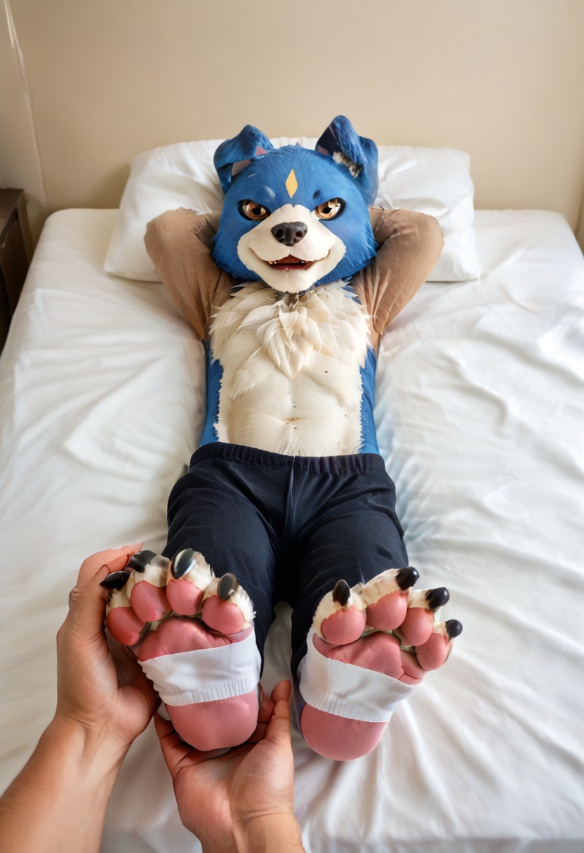 (((Barefoot furry character, full body, cinematic setting, furry male, plantigrade))) 
(((Gaomon))), boy, digimon, (((blue and white fur))), ((black pajama)), ((lies on the bed)), (((lies on his back))), (((receives feet massage))), (((his foot paw massaged))), (((getting feet massage))), his hands behind head, feet towards the viewer, feet POV, feet up, front view, dynamic angles, dynamic pose, pleasure expression, (((wears black toeless socks))), (((nice feet paws with pawpads and claws))), foomas, perfect hands of massager, (((correct anatomy)))
BREAK, intricate details, highly detailed, extreme detail, octane render, fine art, best quality, highres, (detailed face:1.5), ((full_body)), UHD, low light