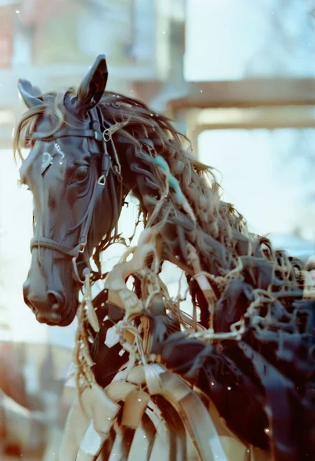 c41_hasselblad_portra400, cinematic photo Documentery Photo a black horse on the beach, discovery magazine, cinematic photorealistic, 8k uhd natural lighting, raw, rich, intricate details, key visual, atmospheric lighting, 35mm photograph, film, bokeh, professional, 4k, highly detailed . 35mm photograph, film, bokeh, professional, 4k, highly detailed