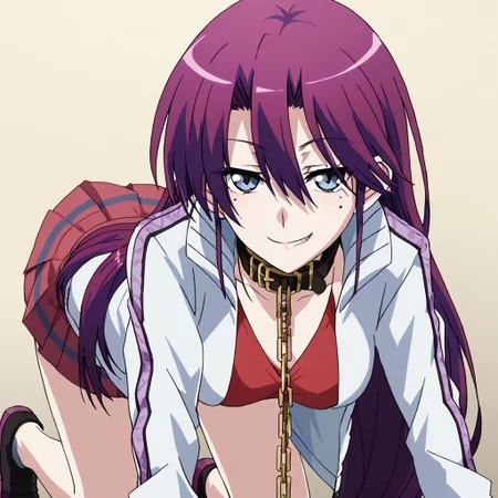 score_9, solo, Shishido_Shiho, purple hair, long hair. collar chain, mole under eye, jacket, skirt, on all fours, looking at viewer, smirk