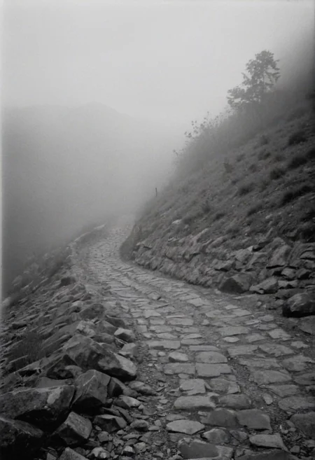 KB_Kentmere400, instagram photo, a foggy mountain,  soft shadows, film grain