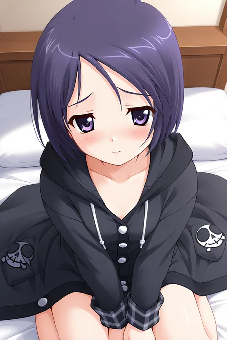 masterpiece, best quality, absurdres, official art, official style, rating general BREAK <lora:katsurazawahonami_IL_v1-2:0.7>, katsurazawa honami, 1girl, solo, purple eyes, purple hair, short hair, bob cut, parted bangs, swept bangs, small breasts BREAK pajamas, black hoodie, black coat, hooded coat, hood down, long sleeves, buttons, plaid cuffs, sleeves past wrists, pocket, skull and crossbones, blush, shy, looking at viewer, hood, v arms, cowboy shot, closed mouth, own hands together, wariza, on bed, curtains