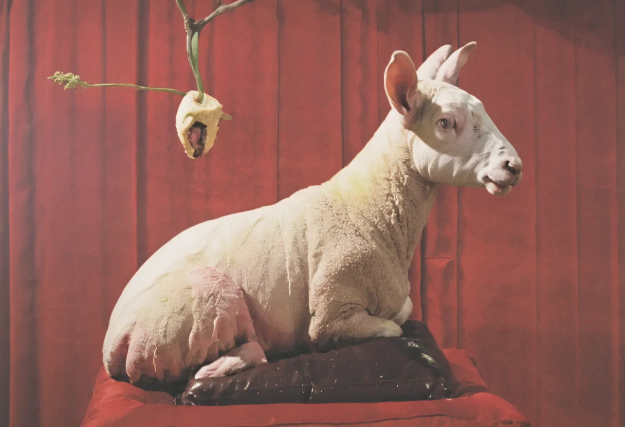 lamb in a flowers, lynch style <lora:lynchstyle_v0.0.2:1.35>