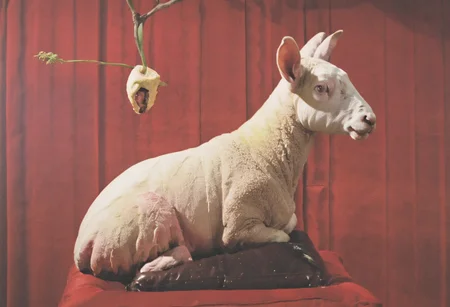 lamb in a flowers, lynch style <lora:lynchstyle_v0.0.2:1.35>