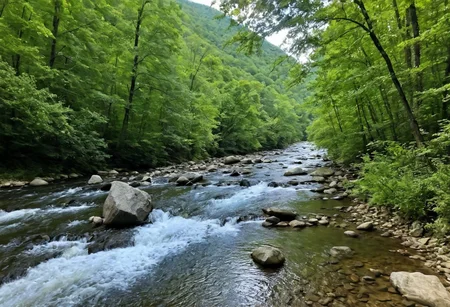 Almost heaven, West Virginia
Blue Ridge Mountains, Shenandoah River
Life is old there, older than the trees
Younger than the mountains, growing like a breeze
Country roads, take me home
To the place I belong
West Virginia, mountain mama
Take me home, country roads
All my memories gather 'round her
Miner's lady, stranger to blue water
Dark and dusty, painted on the sky
Misty taste of moonshine, teardrop in my eye
Country roads, take me home
To the place I belong
West Virginia, mountain mama
Take me home, country roads