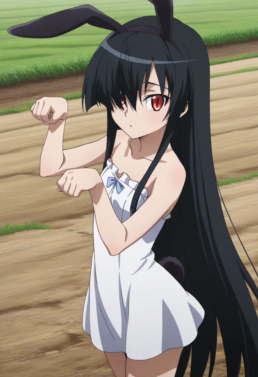 akame, long hair, black hair, red eyes, slit pupils, hair over one eye, perfect face, cute, petite, orange eyes, bunny ears, black ears, bunny tail, dress, sleeveless dress, strapless, slim fit, short dress, cowboy shot, happy, on hand, paw pose, looking at viewer, farm, grass,