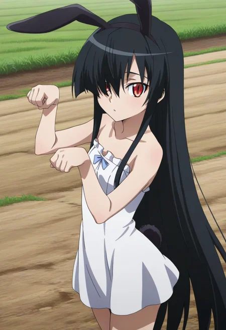 akame, long hair, black hair, red eyes, slit pupils, hair over one eye, perfect face, cute, petite, orange eyes, bunny ears, black ears, bunny tail, dress, sleeveless dress, strapless, slim fit, short dress, cowboy shot, happy, on hand, paw pose, looking at viewer, farm, grass,