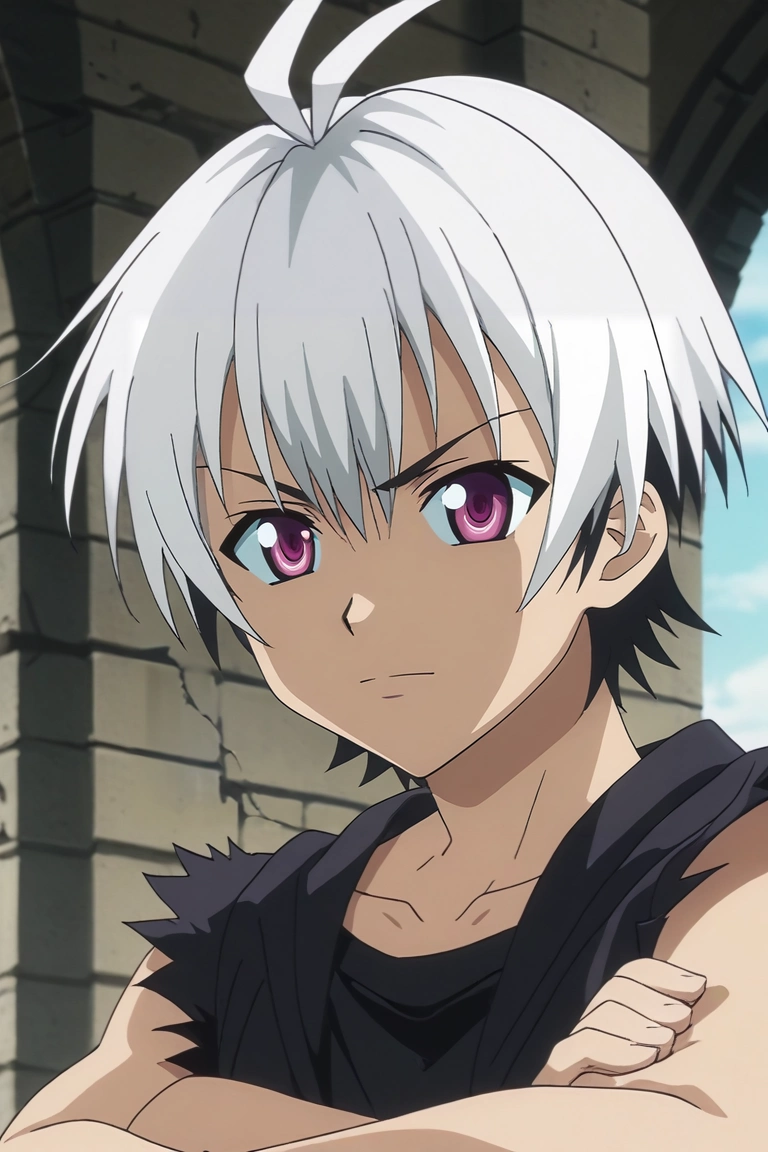 score_9, score_8_up, score_7_up, , rating_safe, intricate details, anime screencap, anime coloring, official style, , , 1boy, solo, male focus, <lora:ren_elsie_jewelria_pony:0.98>, ren_elsie_jewelria, white hair, purple eyes, short hair, two-tone hair, multicolored hair, black hair, close-up, ancient ruins, noon, crossed arms, heart eyes, , <lora:sdxl_lightning_8step_lora:1>