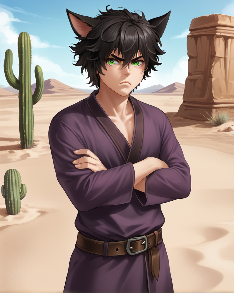 <lora:Niro_style_FORPONY:1> solo, catboy, 1boy, messy hair, black hair, miqo'te, anoyed, grumpy, green eyes, purple robes, crossed arms, outdoors, sand, desert, cactus, paladin, sword, belt, covered ears