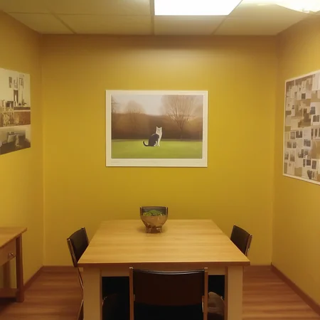 table, grass, bare tree, sunlight, poster (object), ceiling, cat