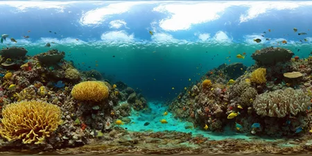 360panorama,<lora:HMSG360æµ·åºä¸çXL-000005:1>,<lora:å
å½±XL:1>,Underwater world,Swimming fish,Coral reef exploration,Deep sea,Sunlight filtering through water,No specific artist,Photo-realistic,Fantasy,Digital painting,Nature scene,Vibrant marine colors,High-definition rendering,4K,High detail,