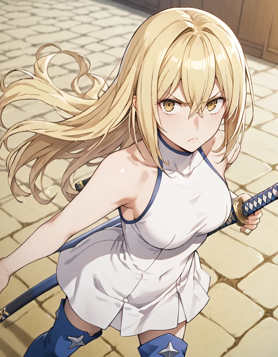 score_9, score_8_up, score_7_up, source_anime, BREAK
1girl, from above, looking at viewer, angry, standing,
ais wallenstein, long hair, blonde hair, hair between eyes, yellow eyes,
battle outfit, white dress, sleeveless, bare shoulders, covered navel, fighting stance, katana, thighhigh boots, holding katana, holding weapon,
<lora:ais_wallenstein_anime-soralz:1>